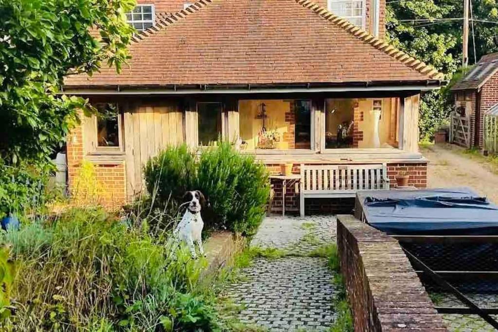 Nature Charm & Fruit Delights, Multi-Generation Celebratory Home -Try, Relax, Repeat - Sellindge Ashford  Exterior photo