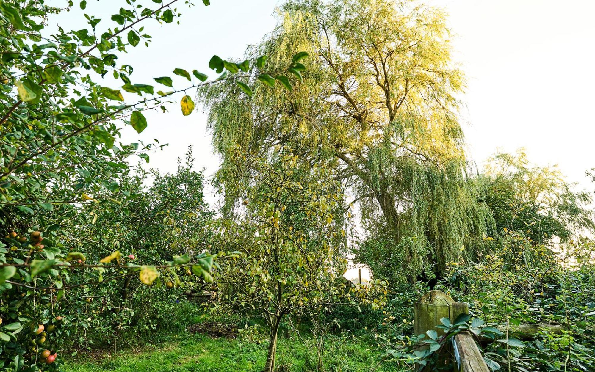 Nature Charm & Fruit Delights, Multi-Generation Celebratory Home -Try, Relax, Repeat - Sellindge Ashford  Exterior photo